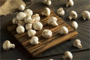 Button mushrooms help in breast and prostate cancer