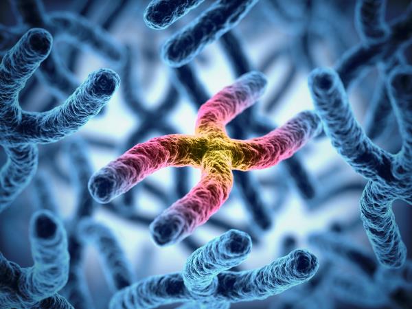 Epigenetics and reversing cancer