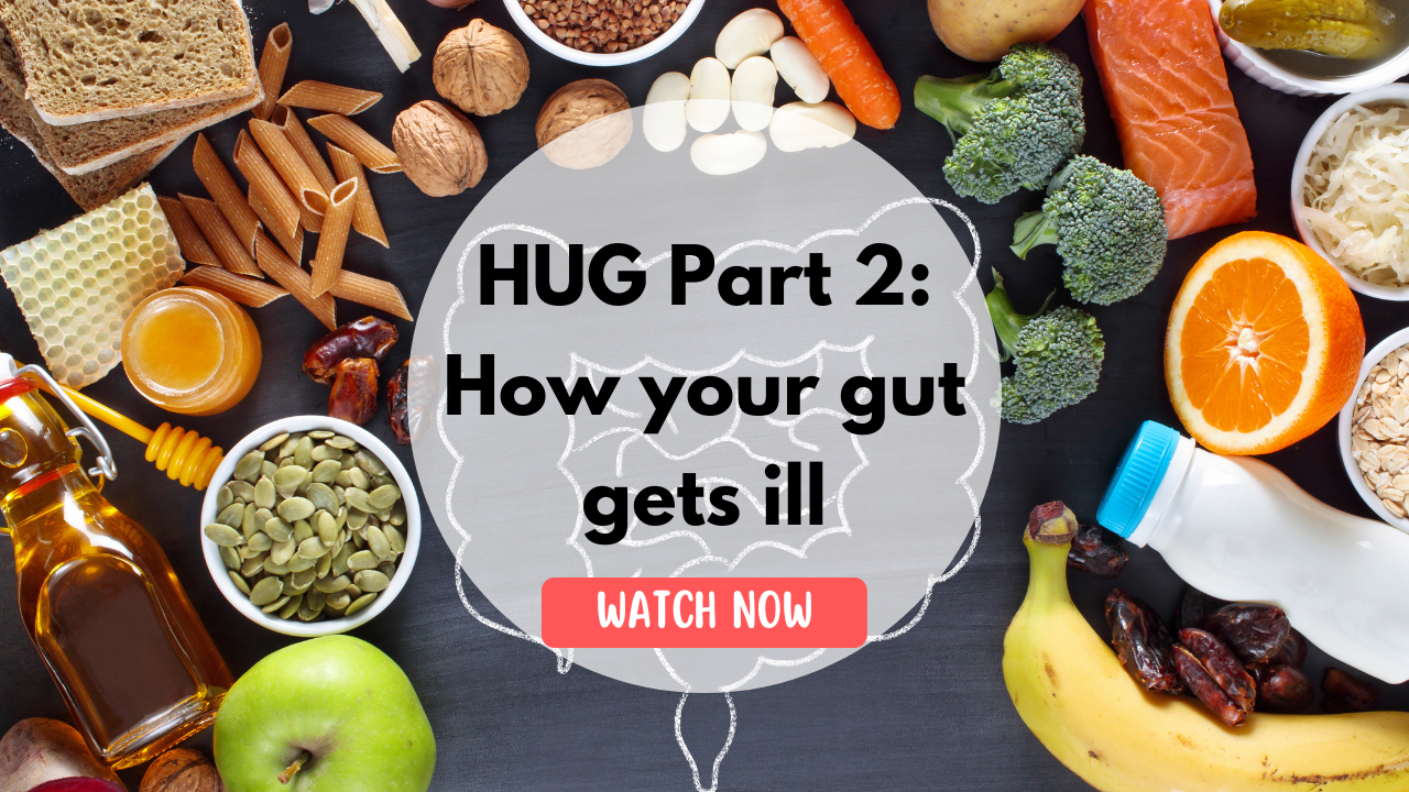 Part 2 Hug Your Gut - How your gut gets ill