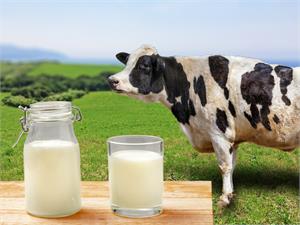 Dairy products increase prostate cancer progression