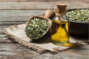 Compound in Oregano and Thyme has anticancer properties