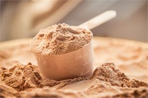 Whey protein, the immune system and health; Research review
