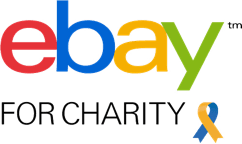 eBay Donations