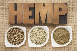 The Difference between Cannabis and Hemp