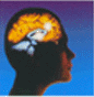 Use of Chlomipramine as a brain cancer treatment