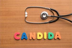 Cancer is a fungus, called candida