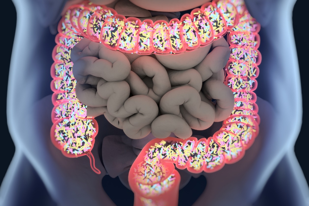 Your gut bacteria activate your vitamin D