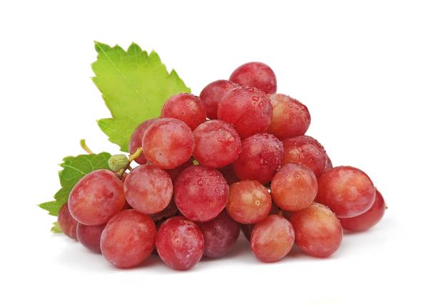 Red grape polyphenols inhibit progression of breast cancer