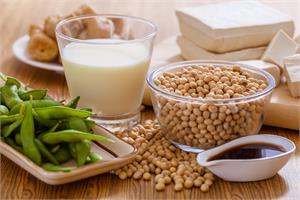 Soy food intake aids breast cancer survival