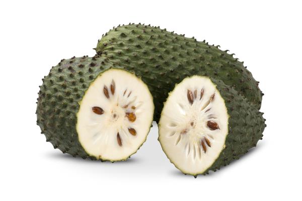 Ellagic acid and Soursop can prevent HPV infection causing cancer