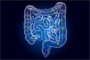 E coli infection in UTIs come from the gut