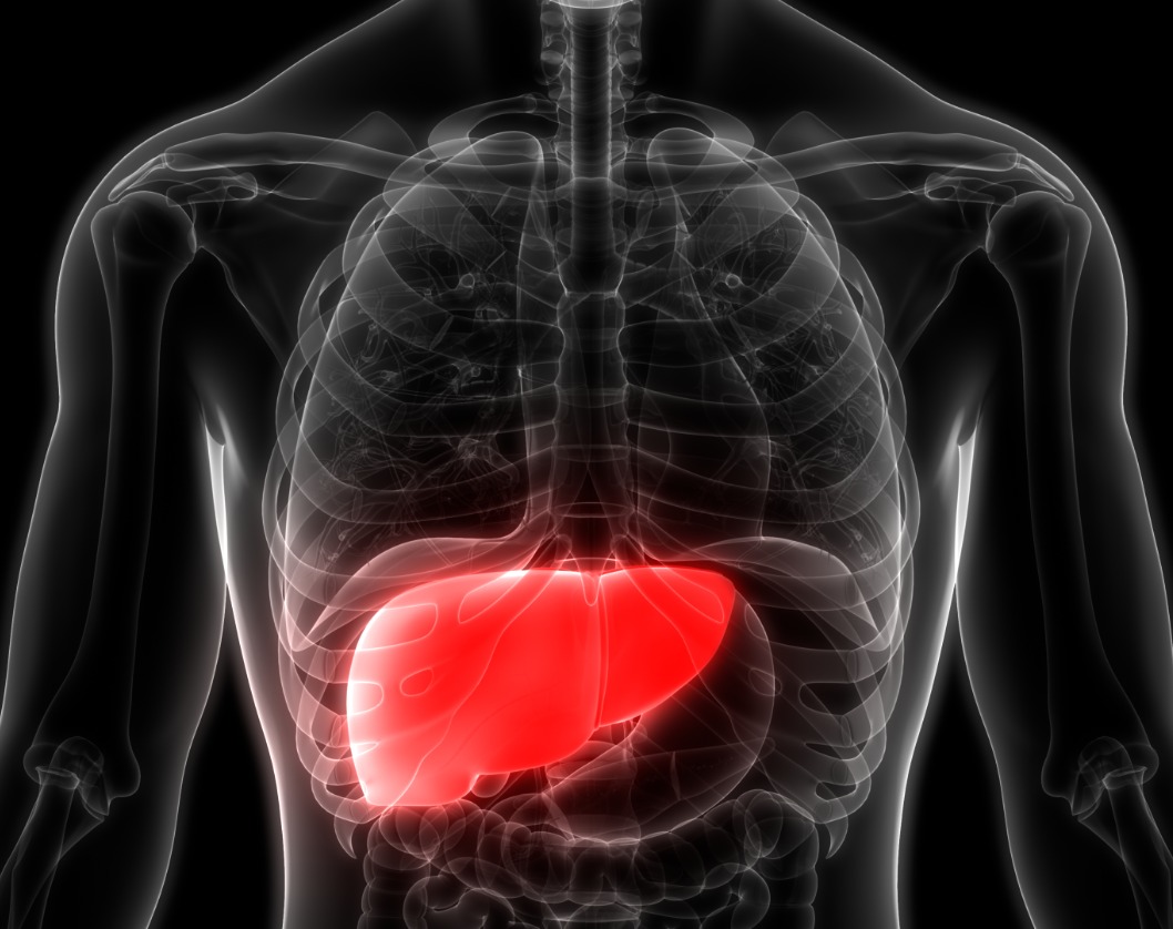 * Liver Cancer - Latest News, Latest Research | CANCERactive