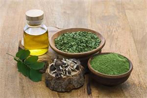 The many health benefits of Moringa