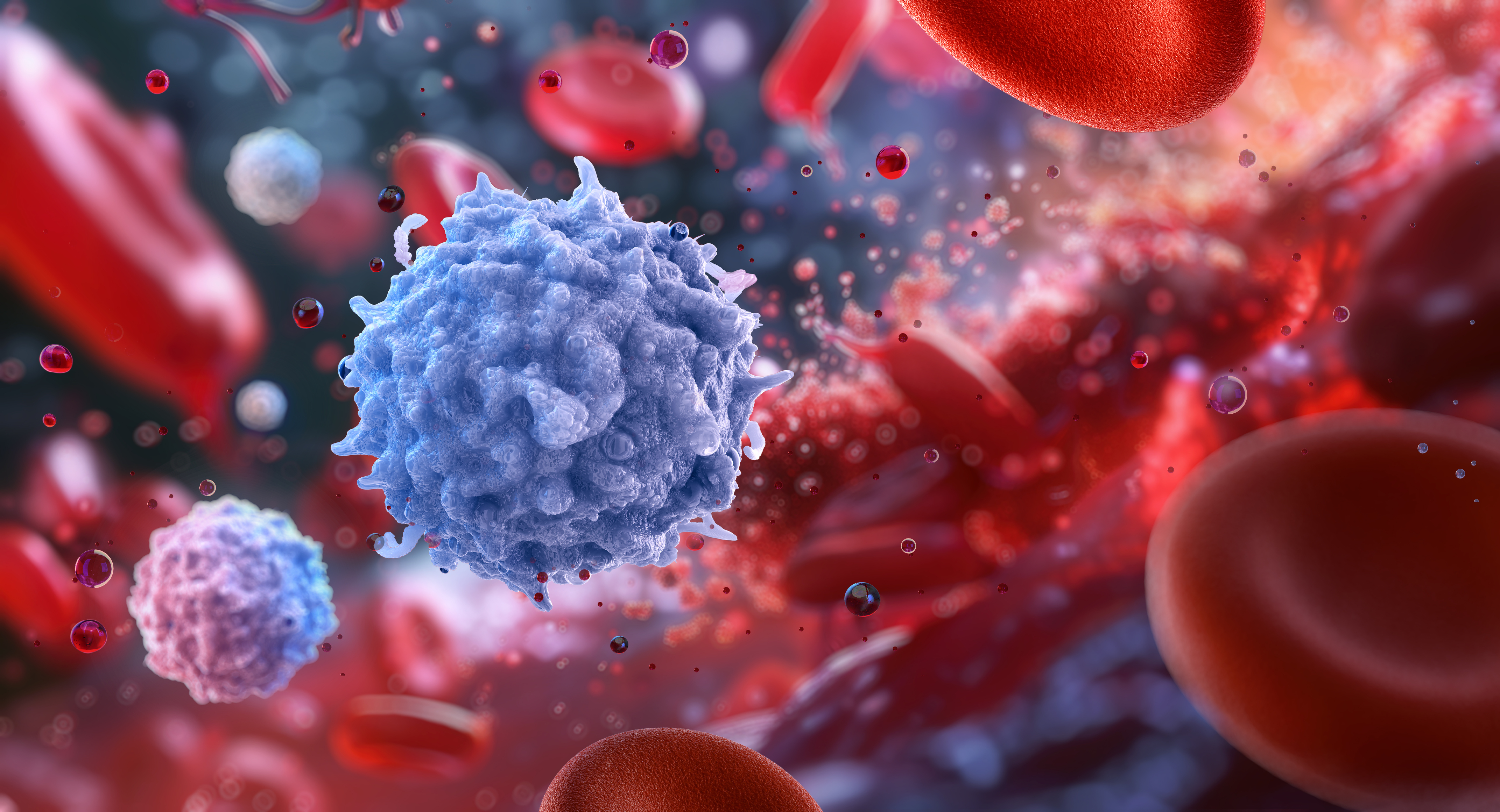 The crucial role of Lymphocytes in cancer survival