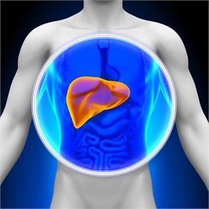 Are you worried about your cancer attacking your liver?