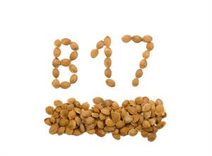 Alternative Cancer Treatment ’vitamin’ B-17