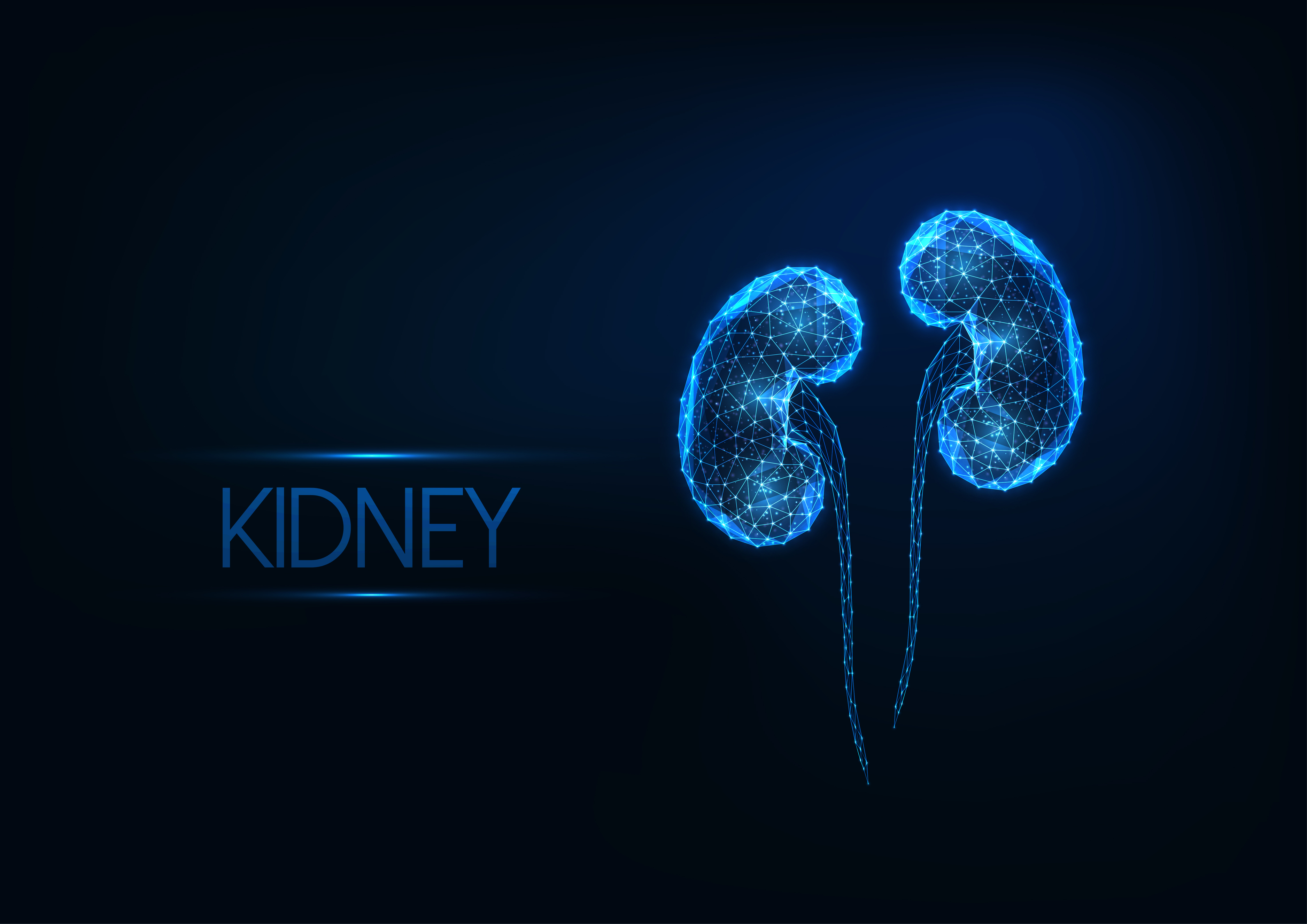 Kidney Tumours - The Facts