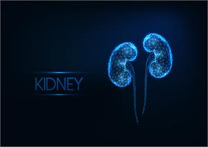 Kidney Tumours - The Facts