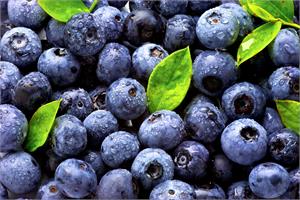 Blueberries can fight TNBC